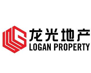 是一家专注于中端及中高端住宅市场的中国领先房地产开发企业